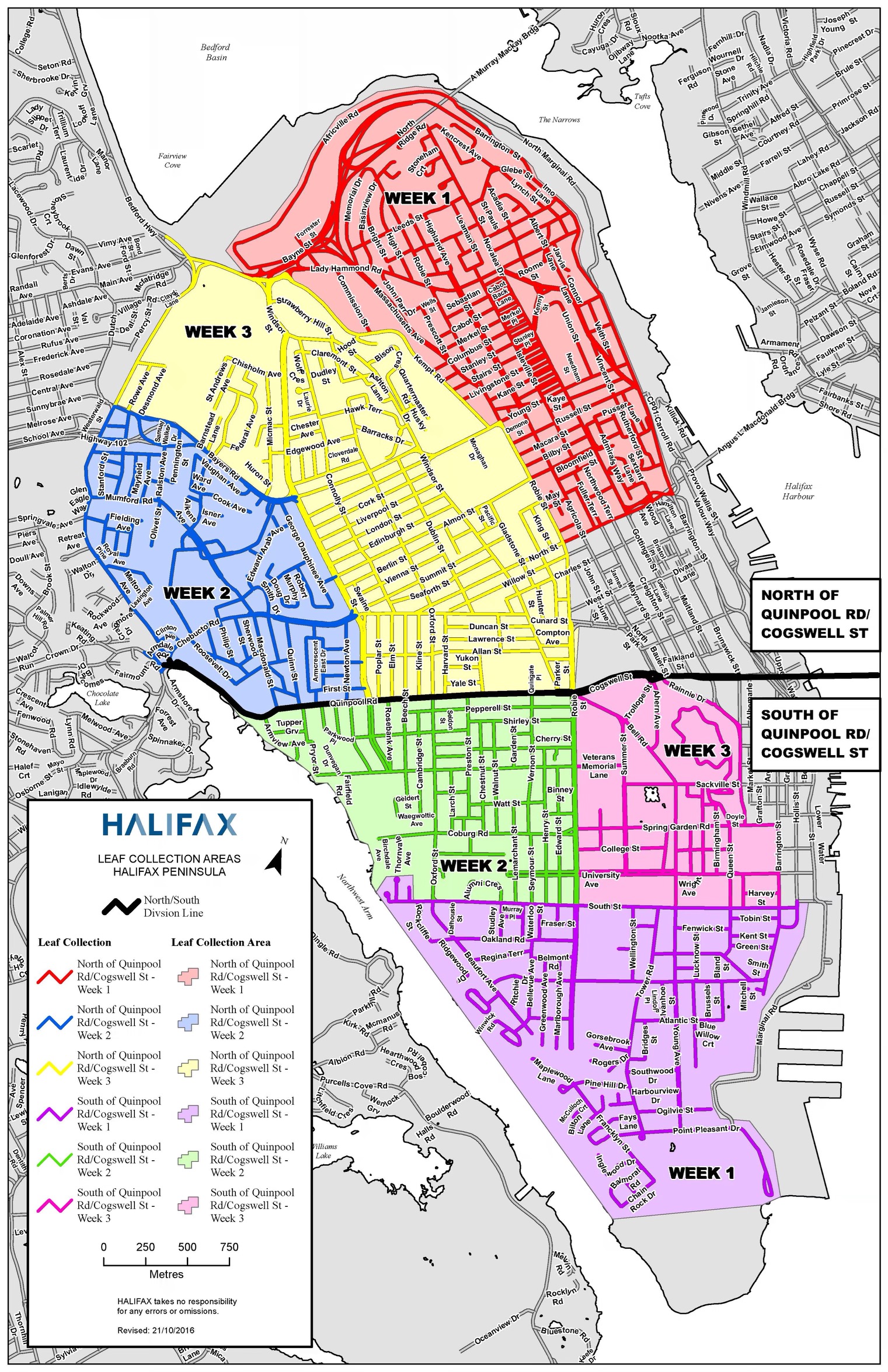 Halifax OKs plastic bags for leaf collection after paper bag