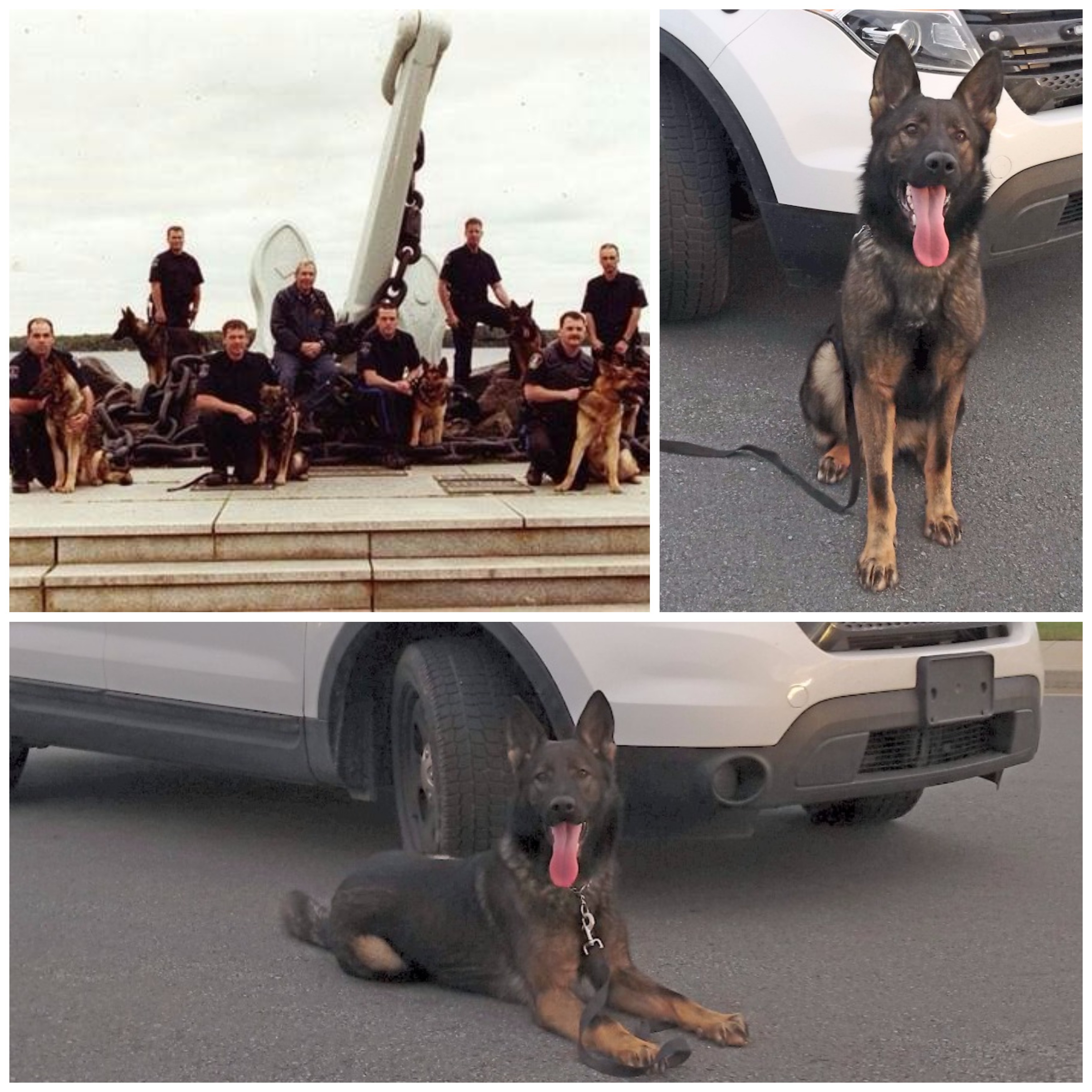 Photos of Morgan and Cst. Ron Morgan, who is pictured sitting on the anchor without a dog.