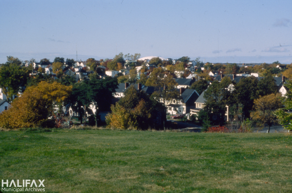 Colour photograph of a field with houses in the background