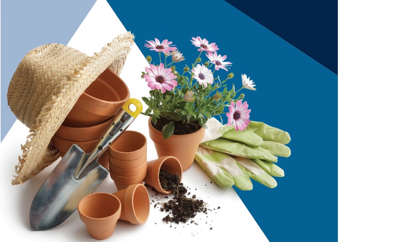 Gardening tools with pots and plants