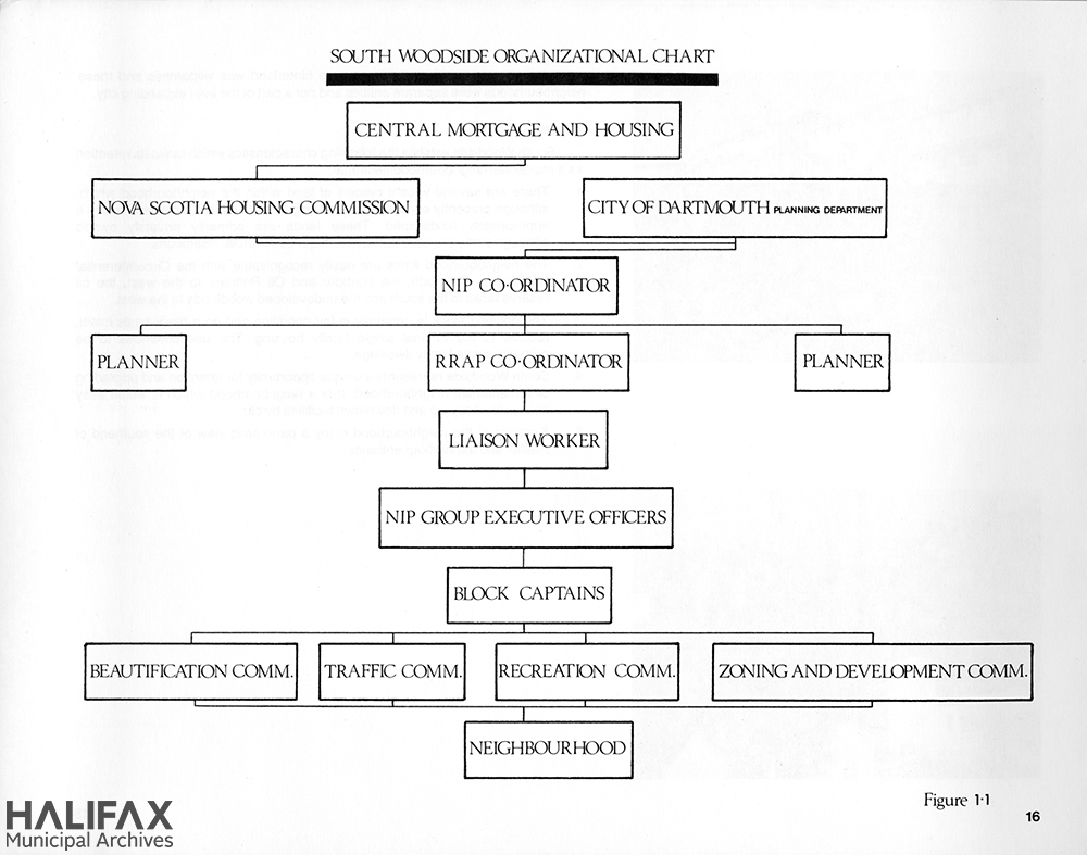 Organizational chart of the NIP structure