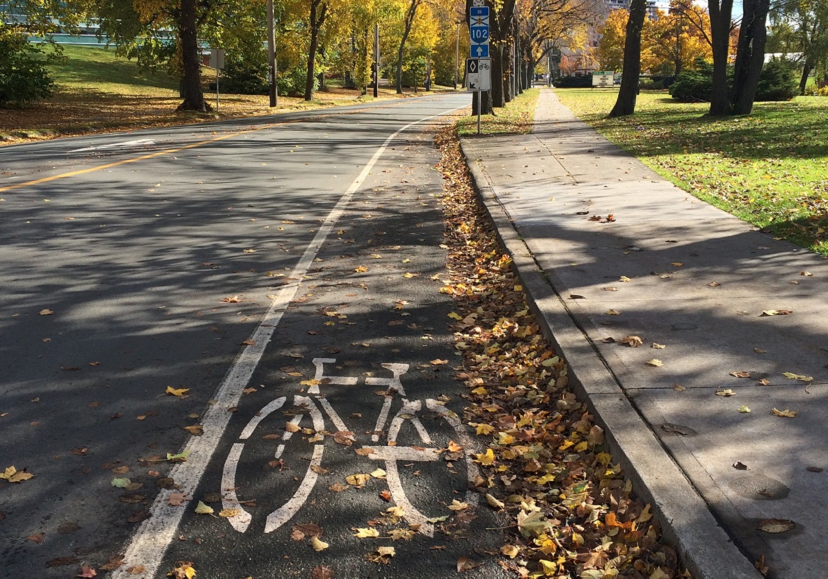 Bell Road Bicycle Lane in autumn