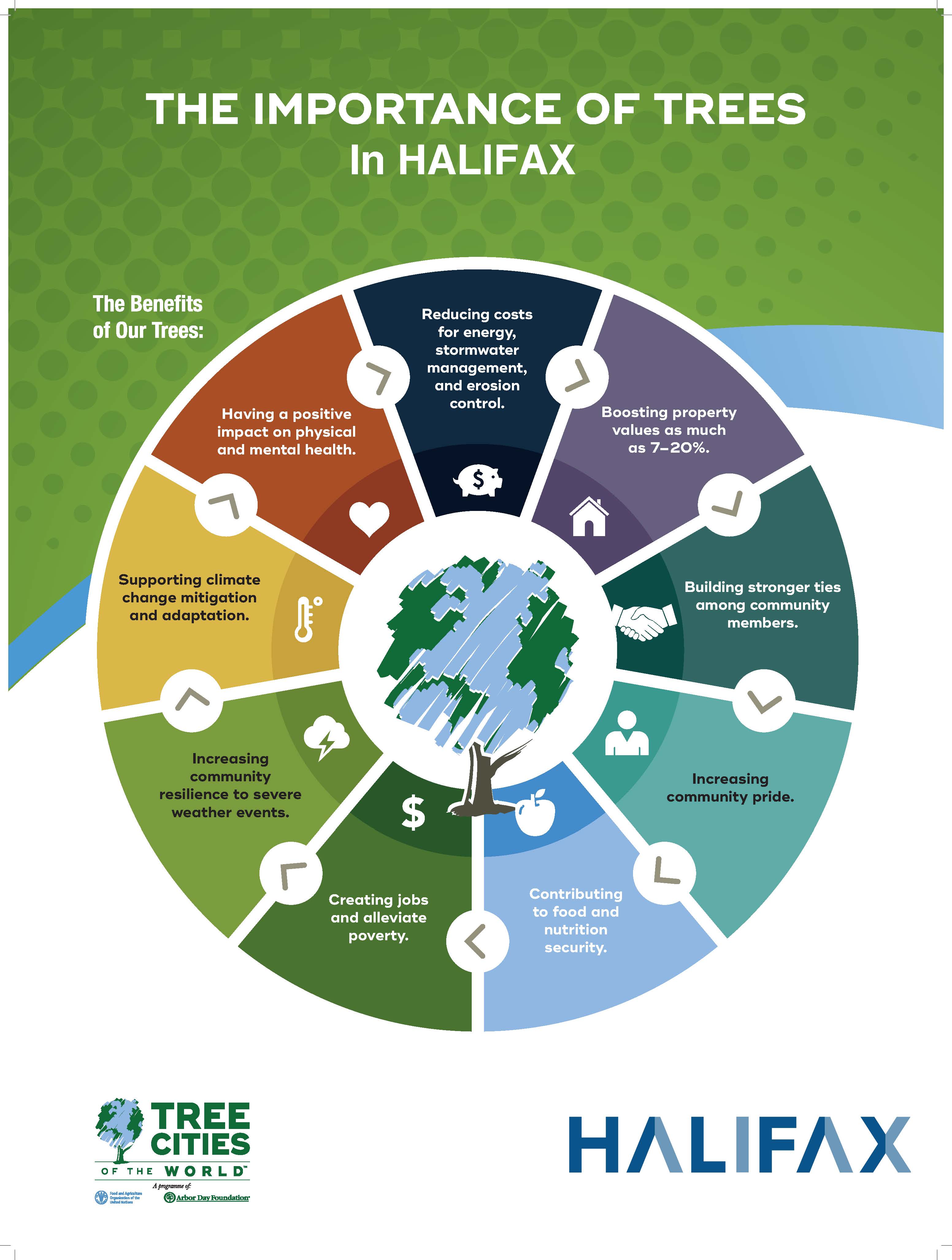 Benefits of trees in Halifax 