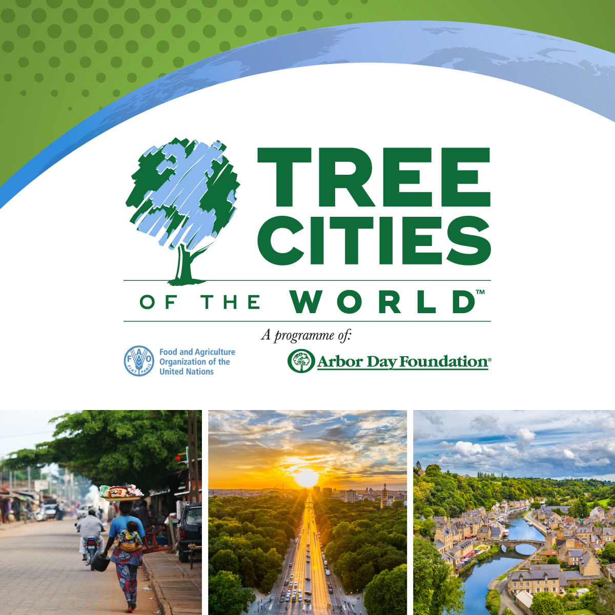 Tree Cities of the World Halifax