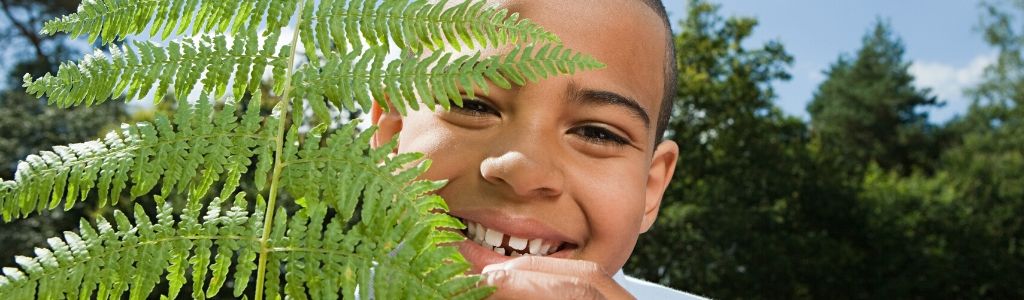 child hides behind fern