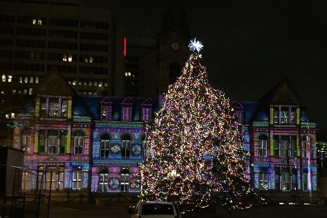 City Hall Grand Parade lit up and the Christmas tree stands brightly lit