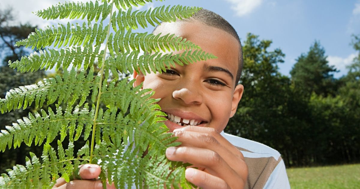 a child looking at a fern