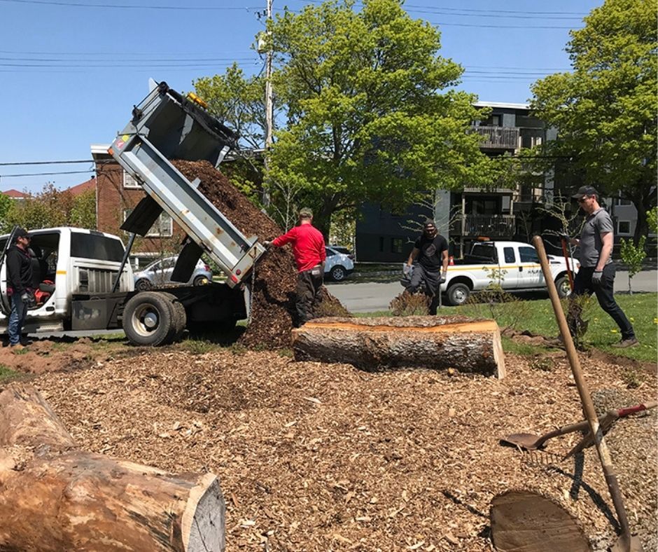 volunteers working on Merv Sullivan naturalization site