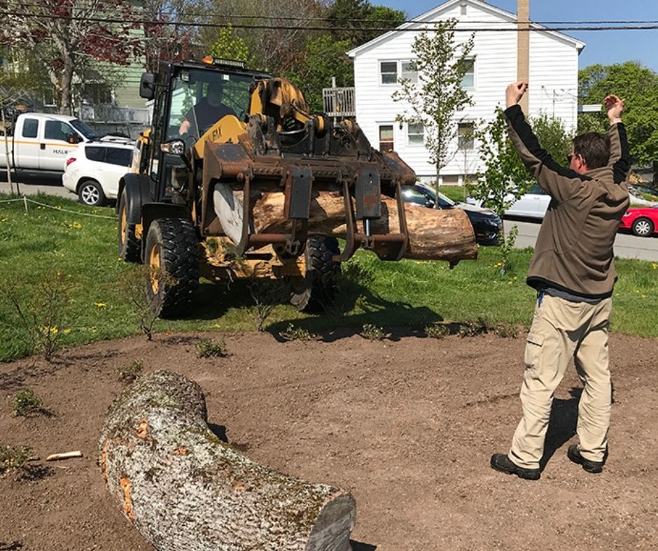 volunteers work on Merv Sullivan naturalization site