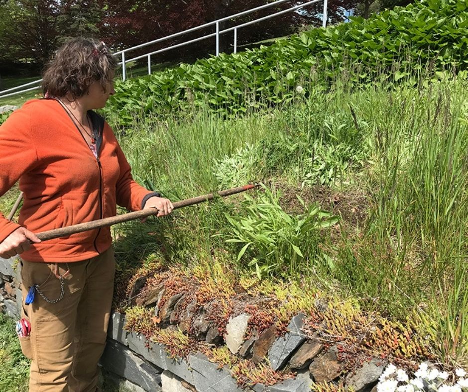 A volunteer works on the Leighton Dillman Park naturalization project