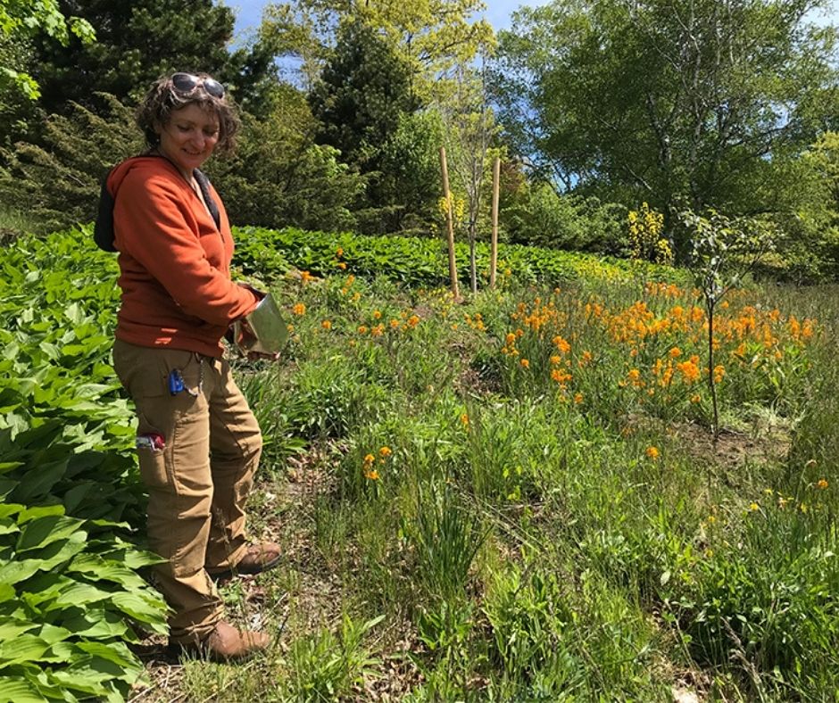 A volunteer works on the Leighton Dillman Park naturalization project