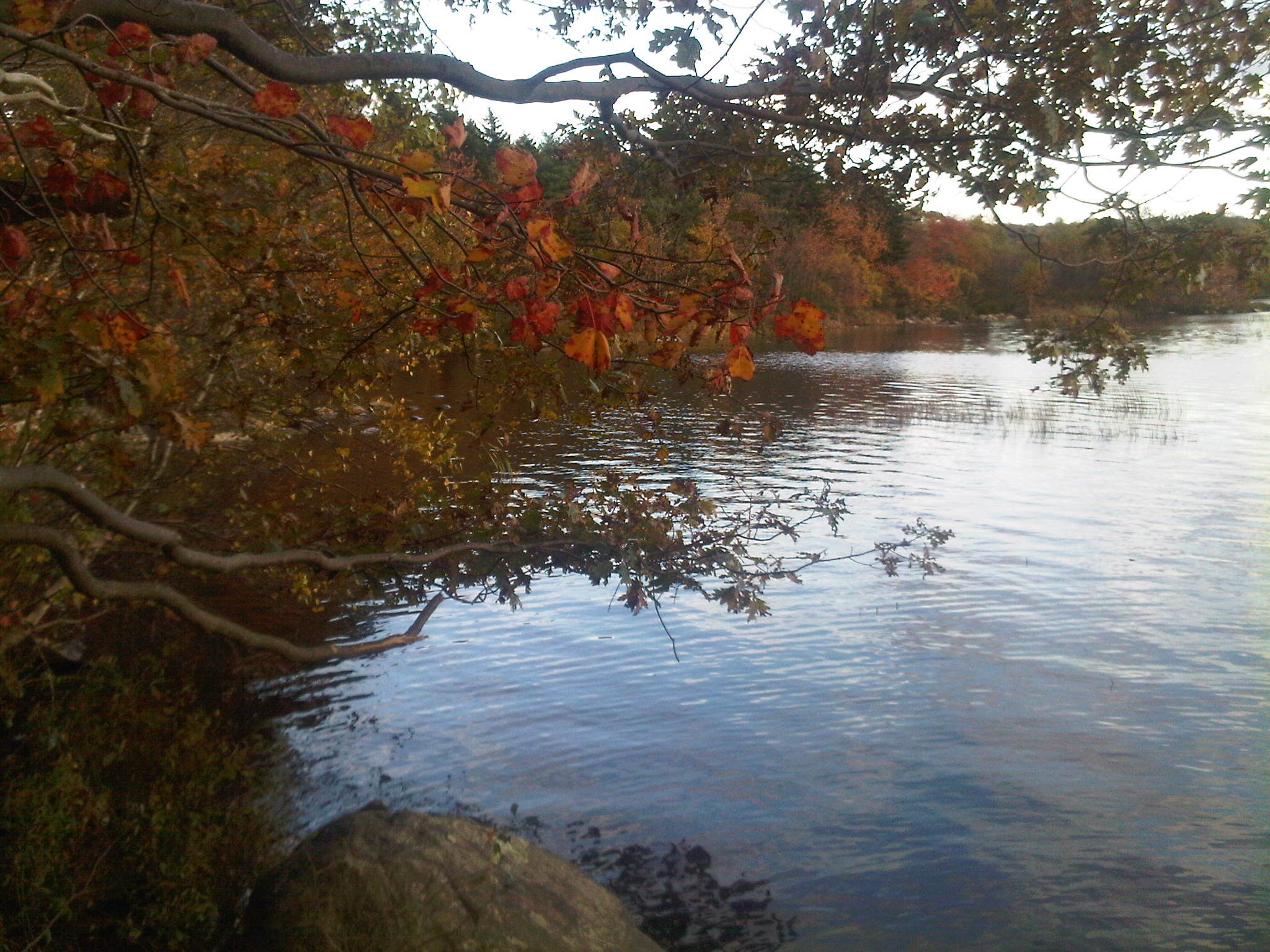 Shubie Park Beach