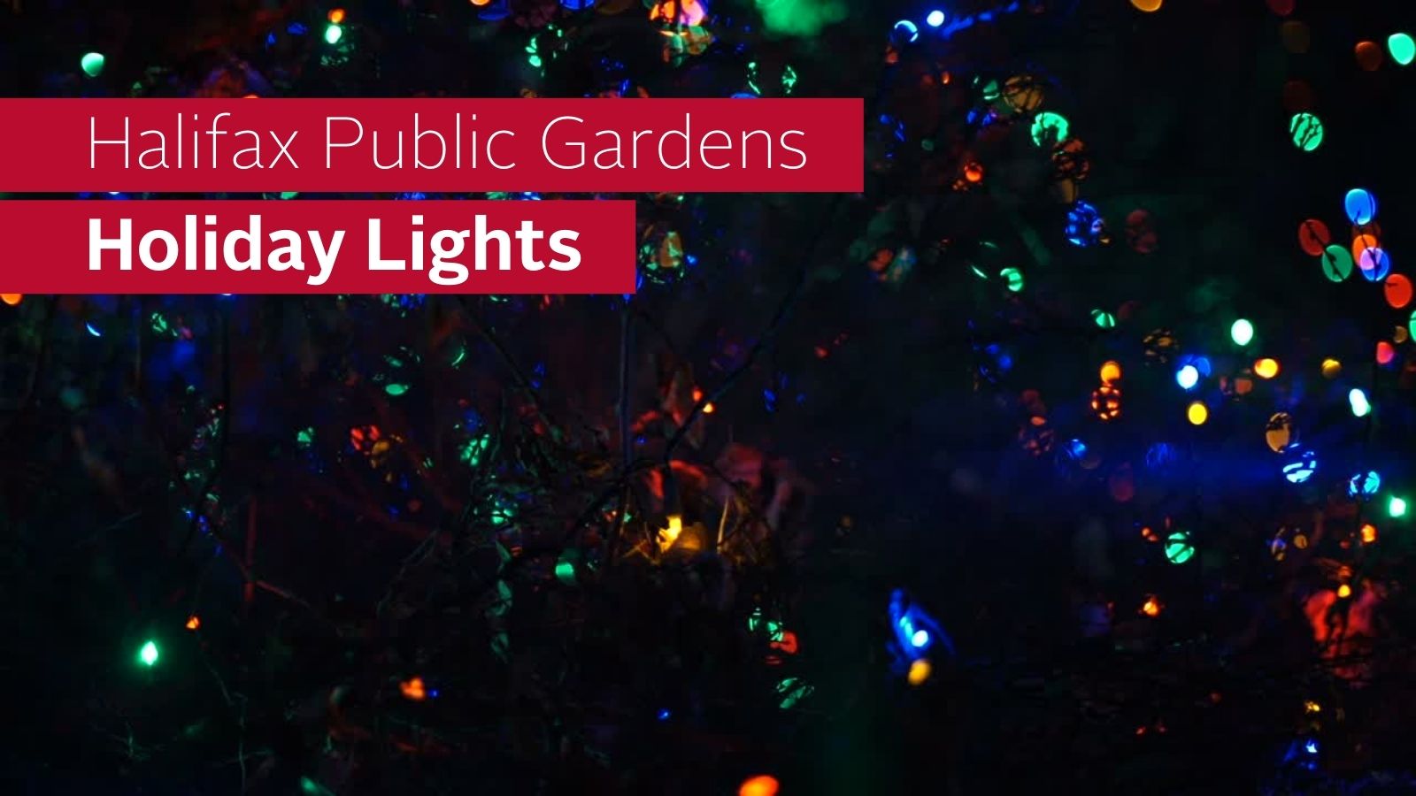 coloured holiday lights blurred behind text that reads Halifax Public Gardens Holiday Lights