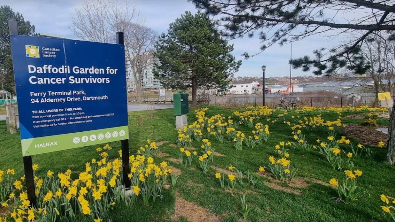 Park sign for the Daffodil Garden for Cancer Survivors with the park visible in the background