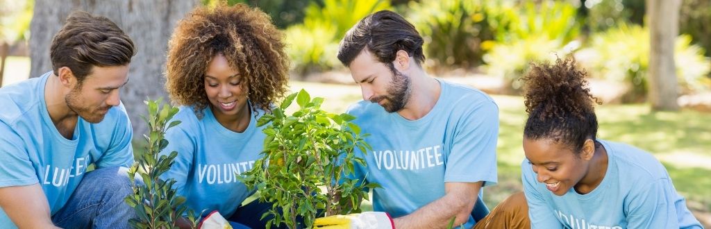 A group of volunteers working outside in a garden