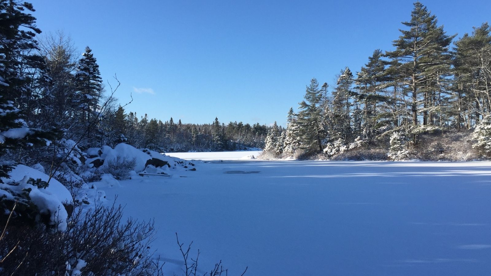 Blue sky above a frozen Suzie's lake surrounded by snow-covered trees