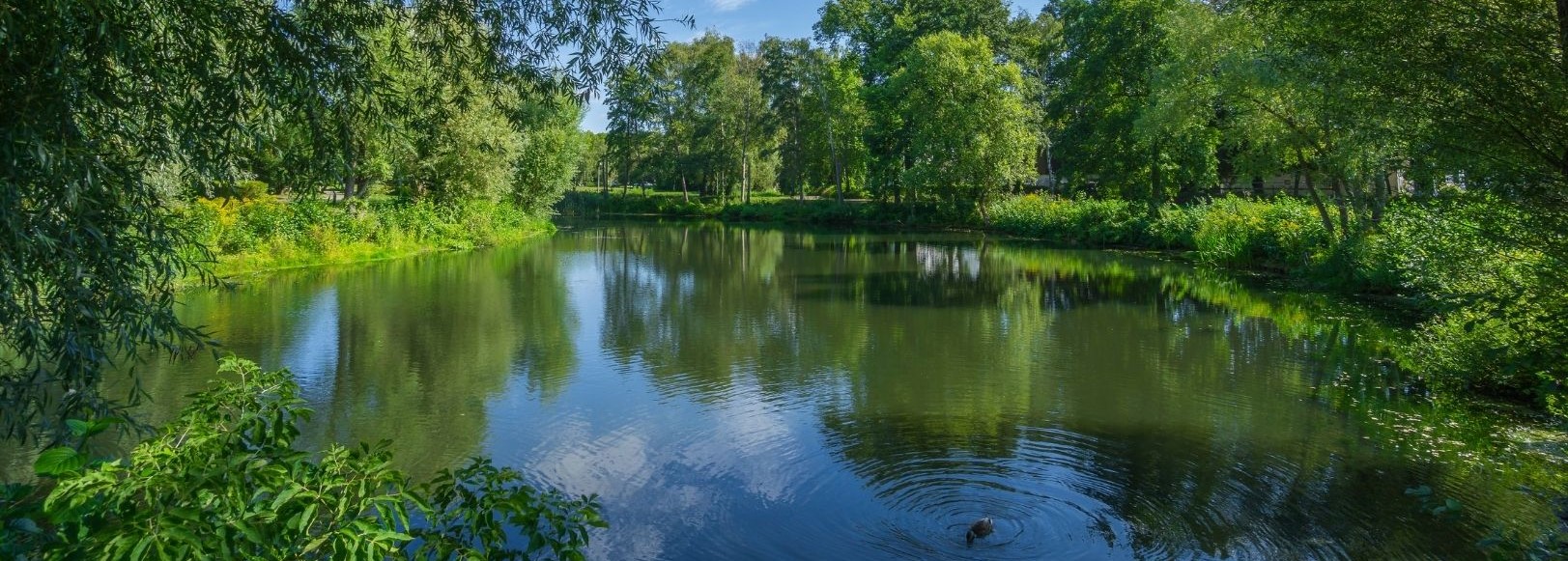 A blue lake surrounded by vibrant green trees