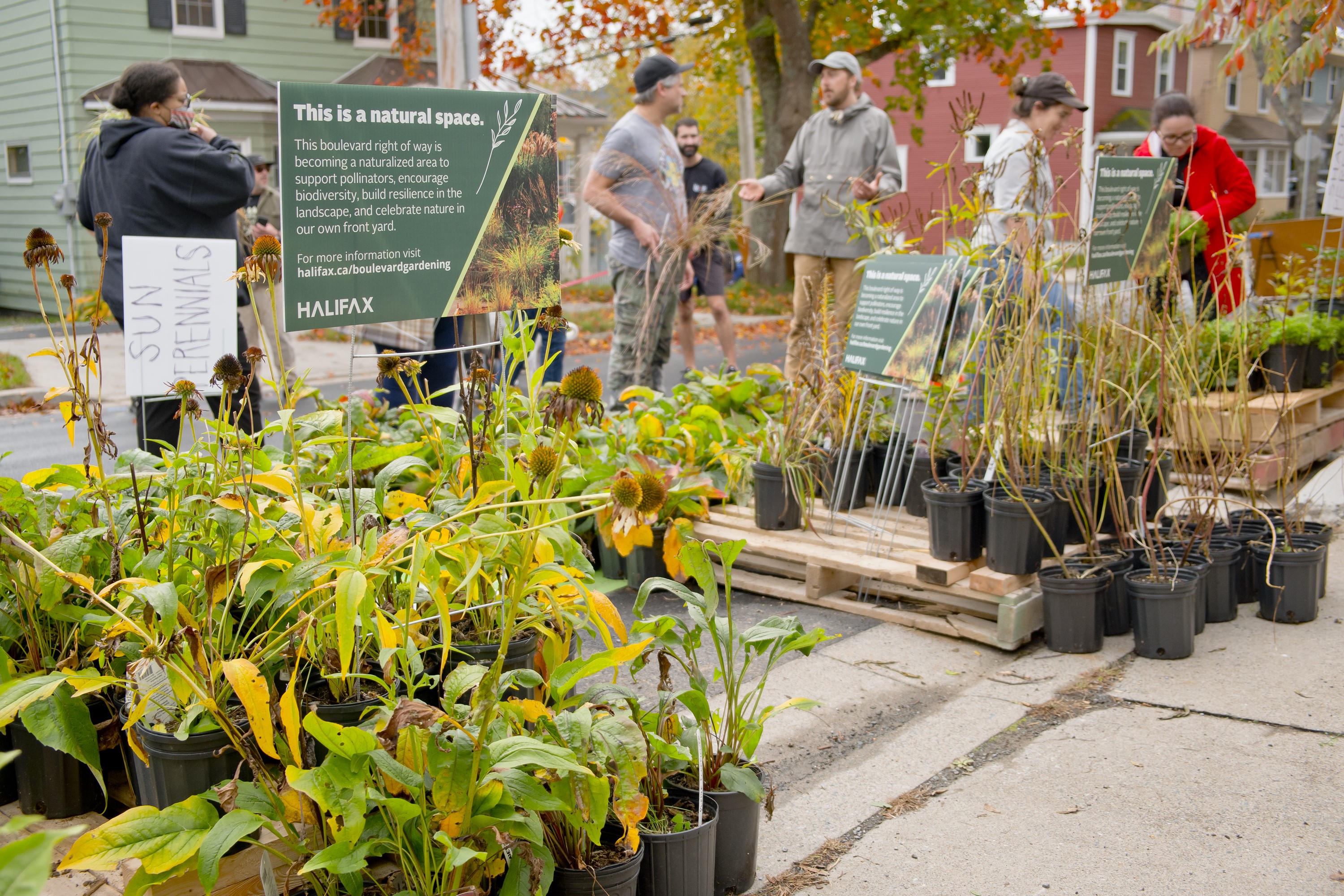 Perennial plants in pots in the foreground, with a sign saying "this is a natural space." Several people in the background talking and looking at plants.