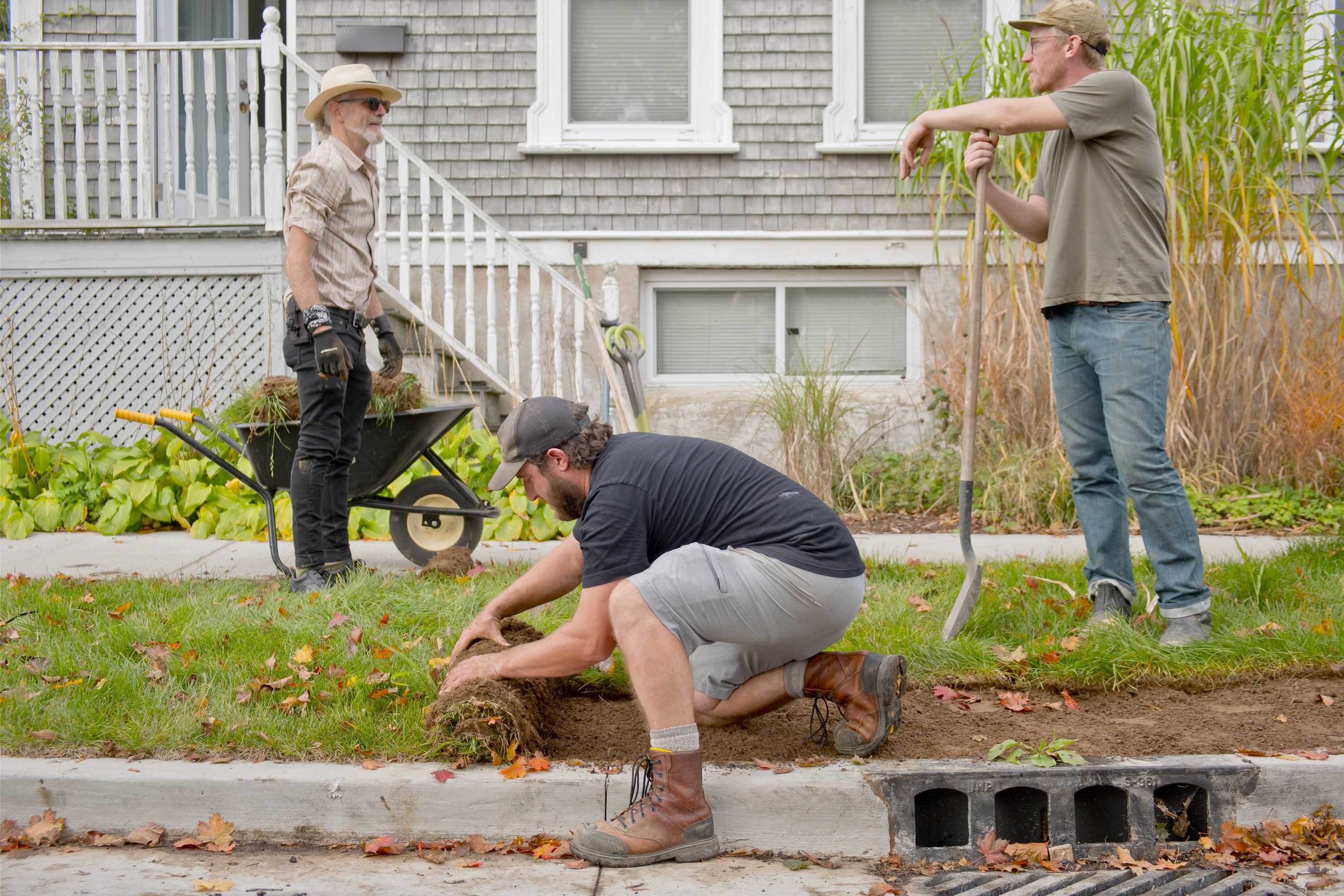 A man in gardening clothes rolls up a piece of sod in a road boulevard. Two other men talk in the background.