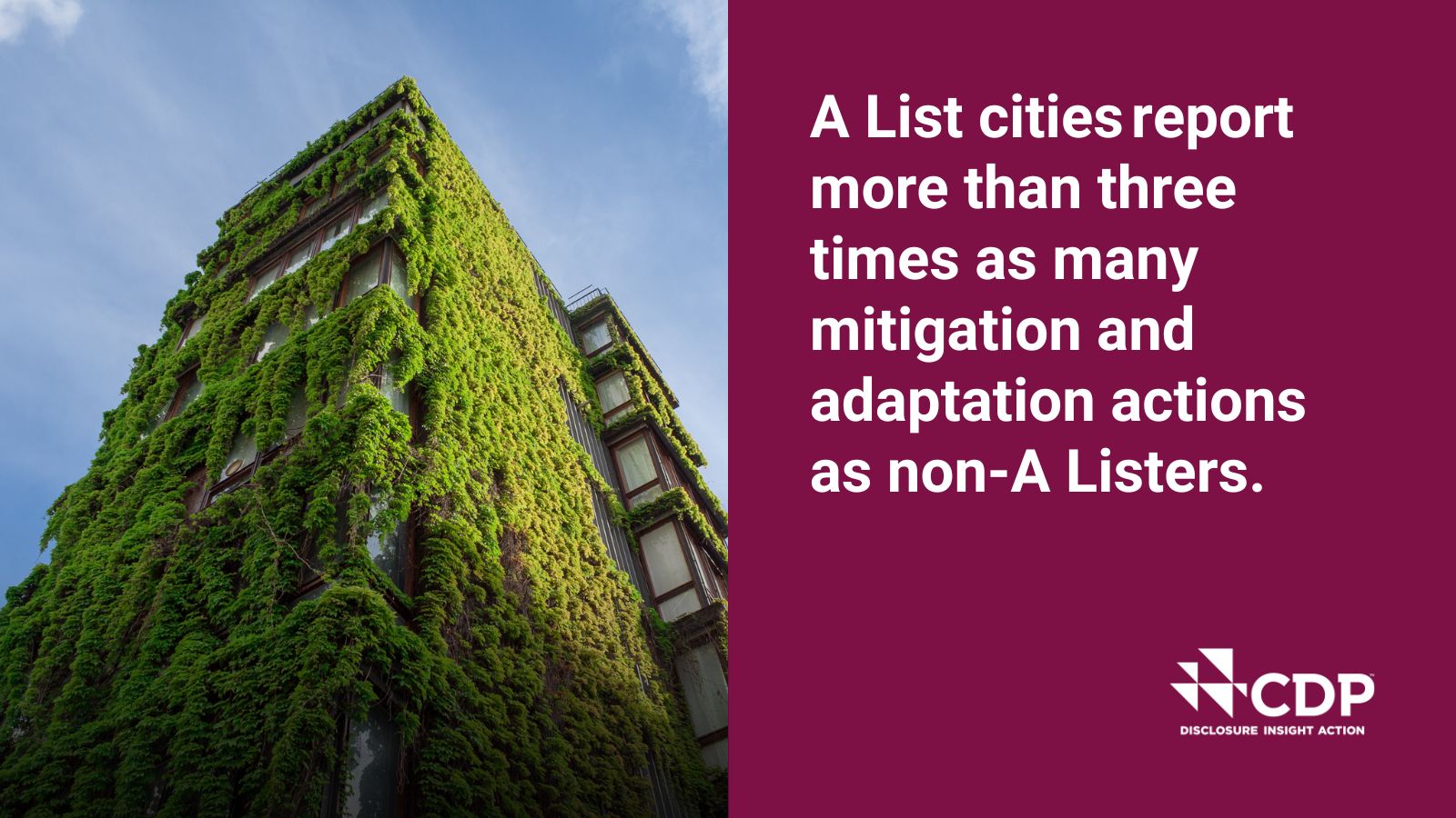 a square graphic that shows a moss-covered building on the left and text that reads: A List Cities report more than three times the mitigation and adaptation actions than non A-listers.