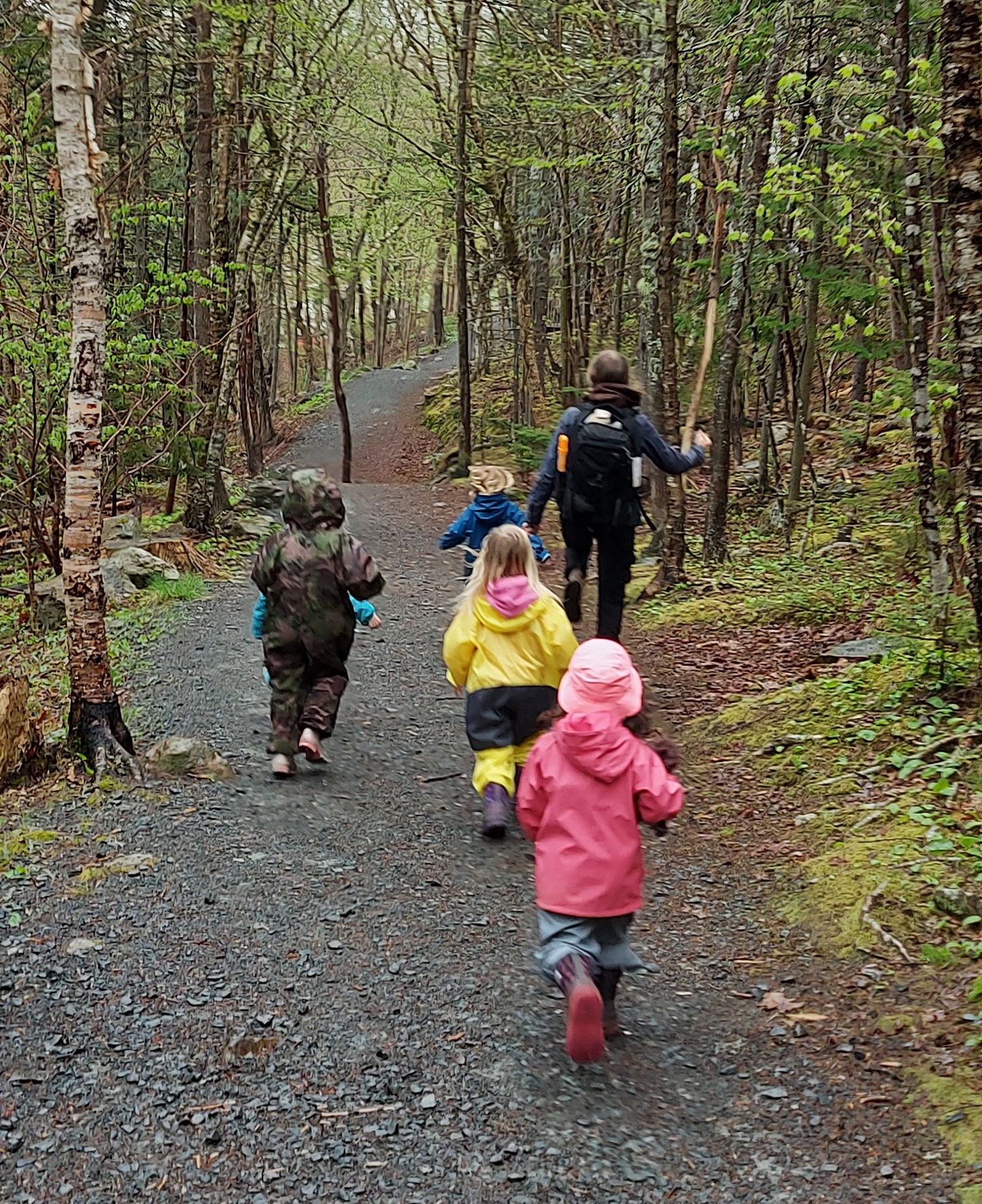 Preschoolers walk on a trail in the woods
