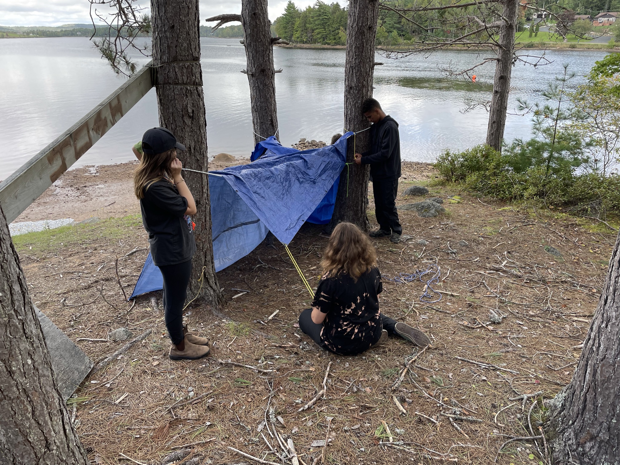 People are building a shelter with a tarp in the woods