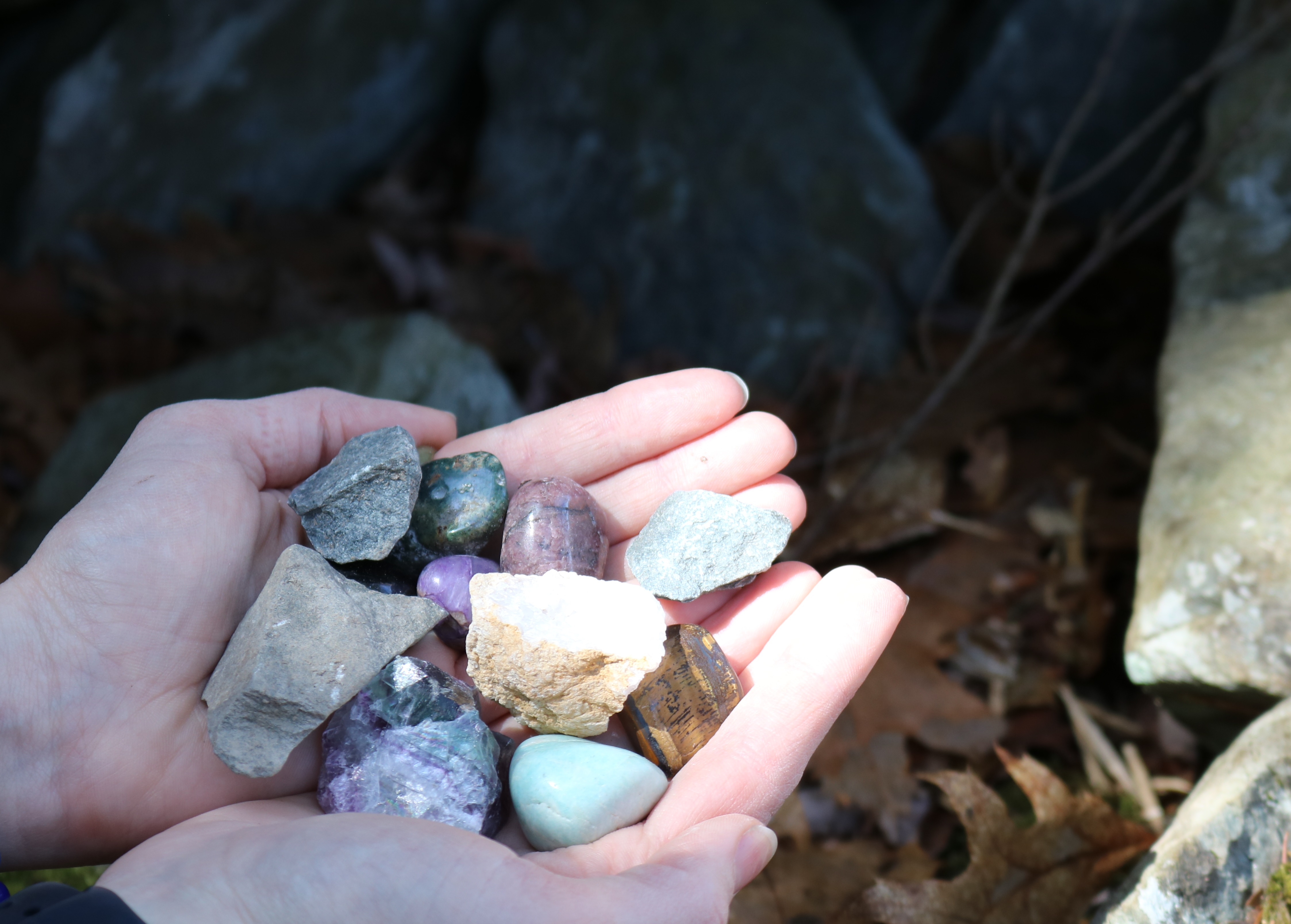 A person holds gems and rocks in the woods