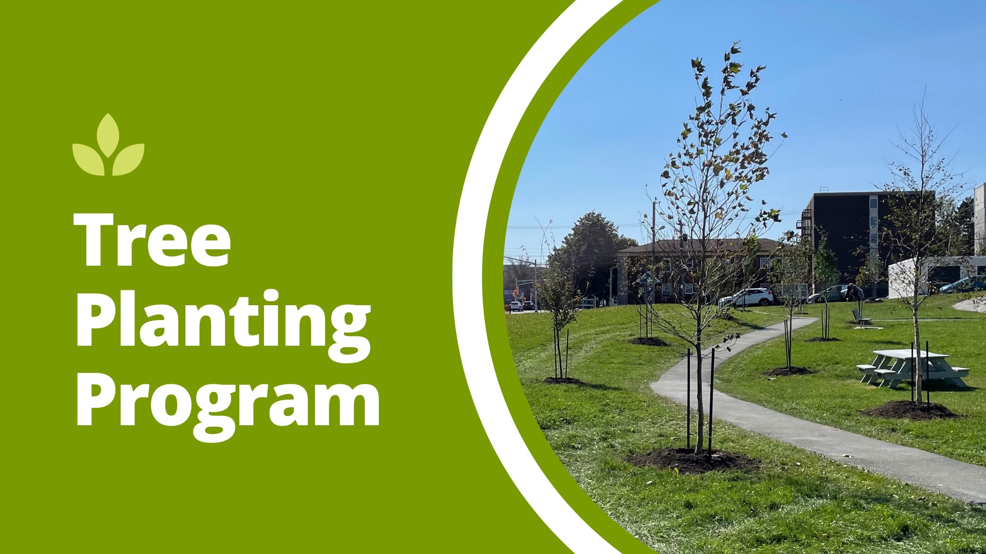 the words "tree planting program" next to an image of greenspace and a path with trees planted along it