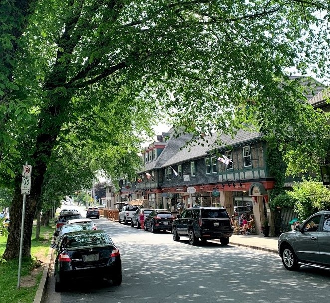 Trees lining a street of shops in the Hydrostone