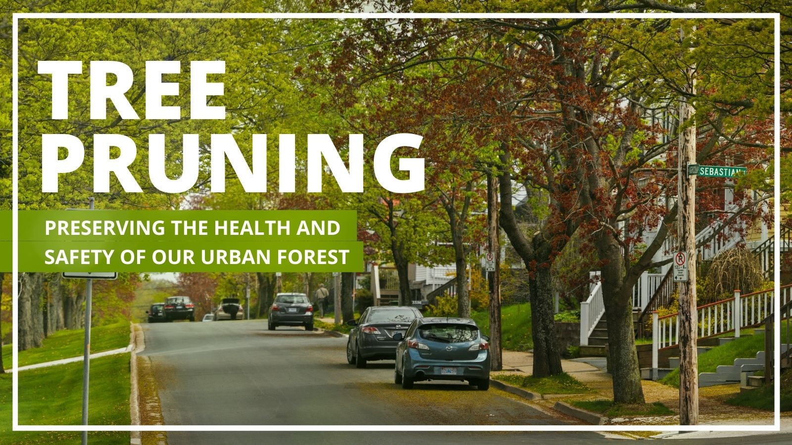 the words "tree pruning, preserving the health and safety of our urban forest" over an image of a street lined with trees and parked cars. 