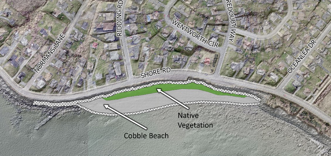 Proposed Project Site