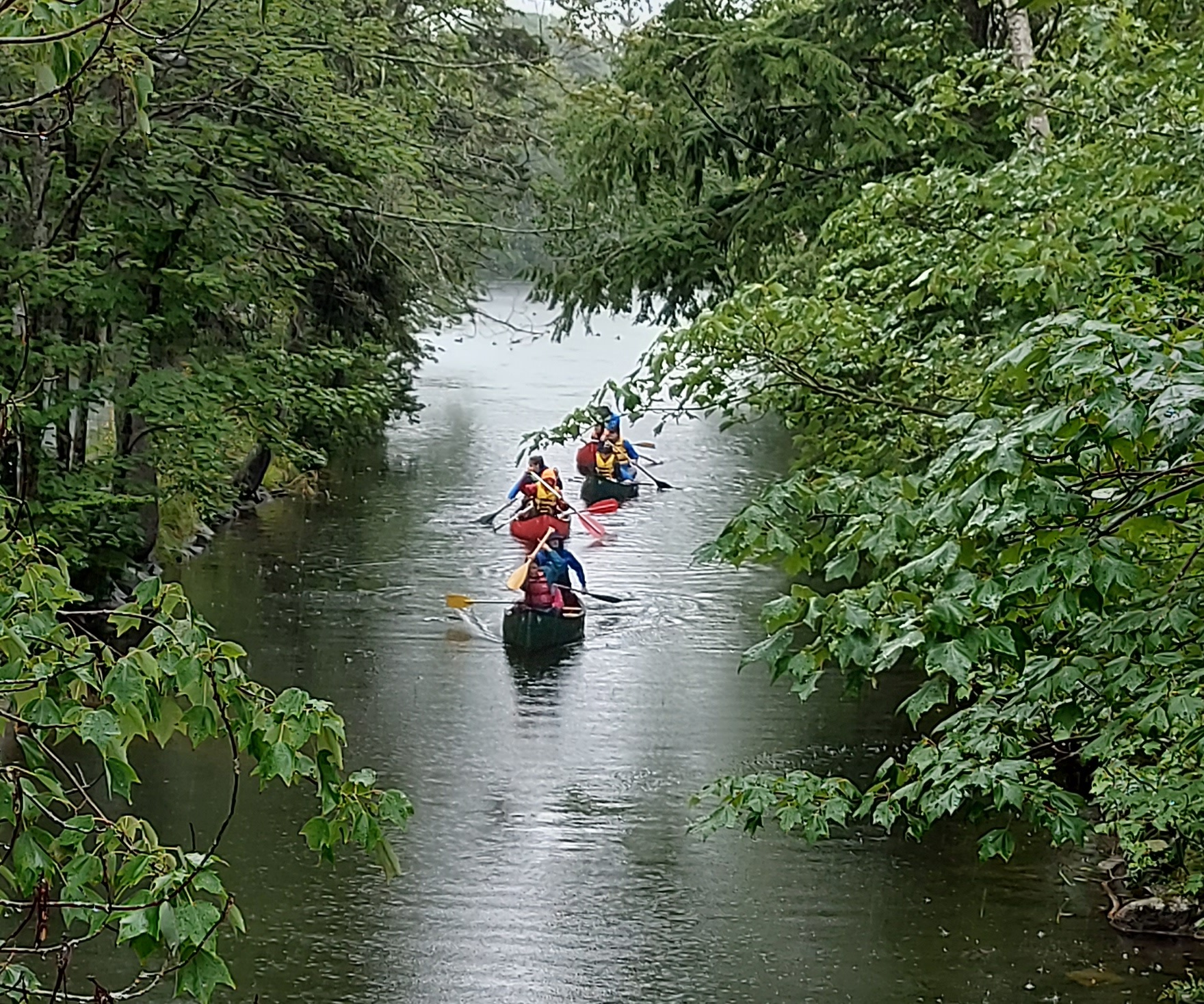 canoes float down the shubie canal