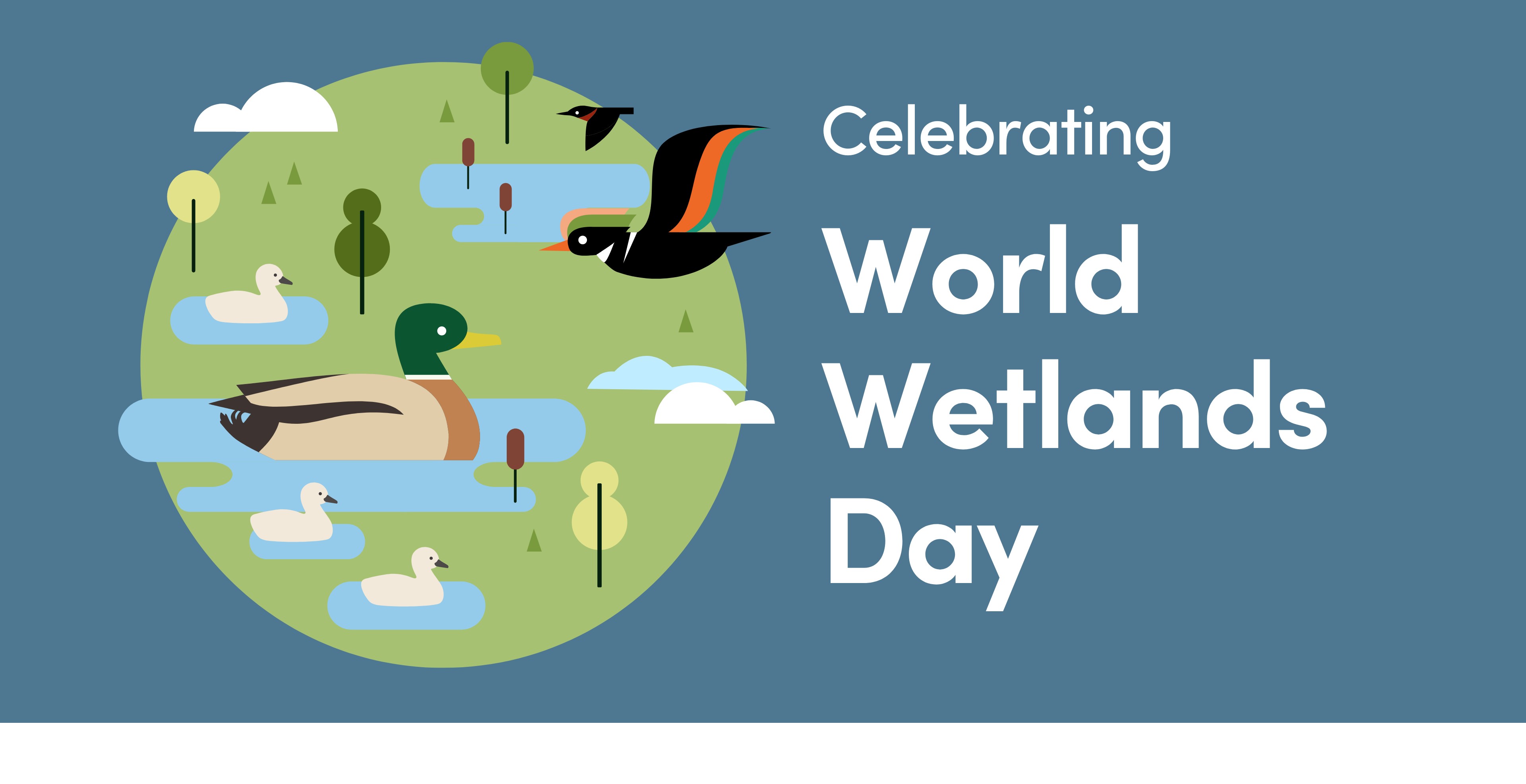 Illustration of ducks and other aquatic life in a wetland environment with text that reads "Celebrating World Wetlands Day"