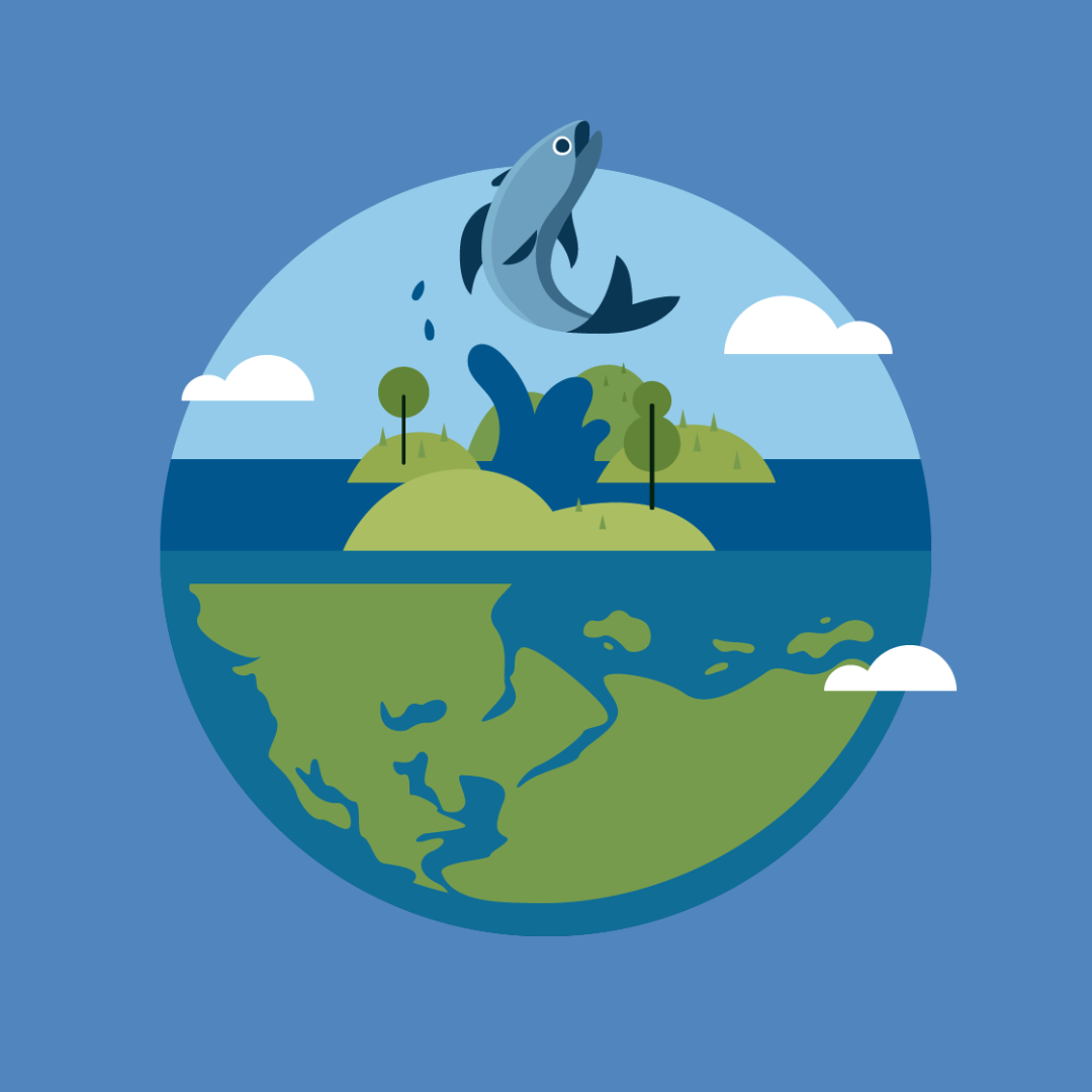 Graphic of a fish leaping from a lake
