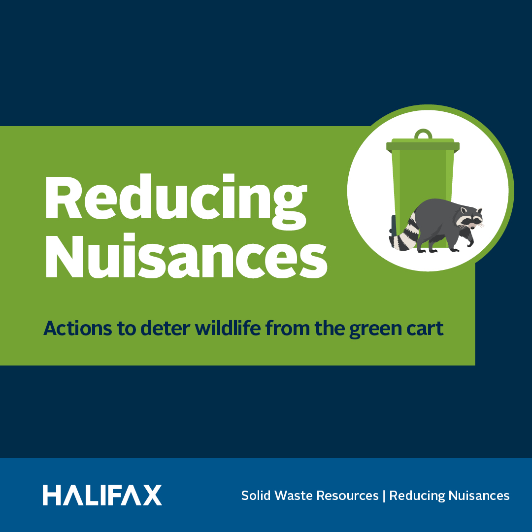 Reducing Nuisances on a green background, with a raccoon and a green bin to the right. Below on the footer it says HALIFAX Solid Waste | Reducing Nuisances on a blue background. 