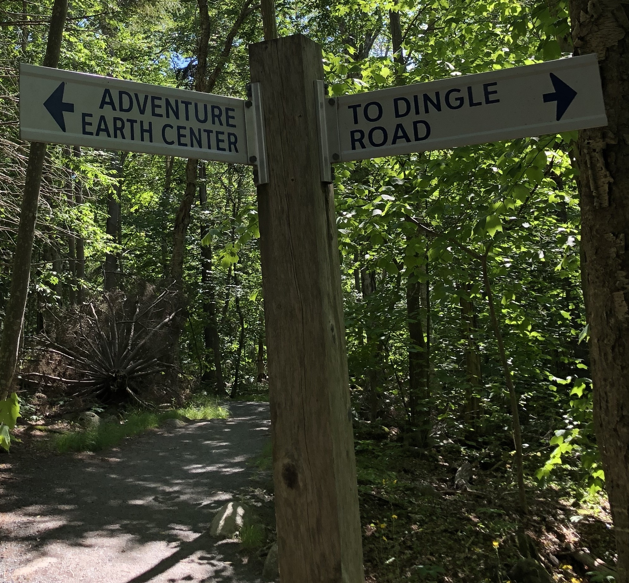 Fleming Park trail signs named Adventure Earth Centre and Dingle Road