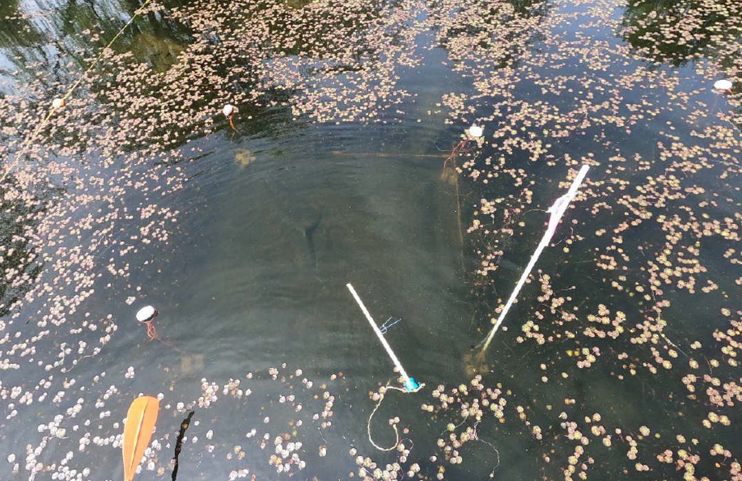 A benthic barrier shot from above.