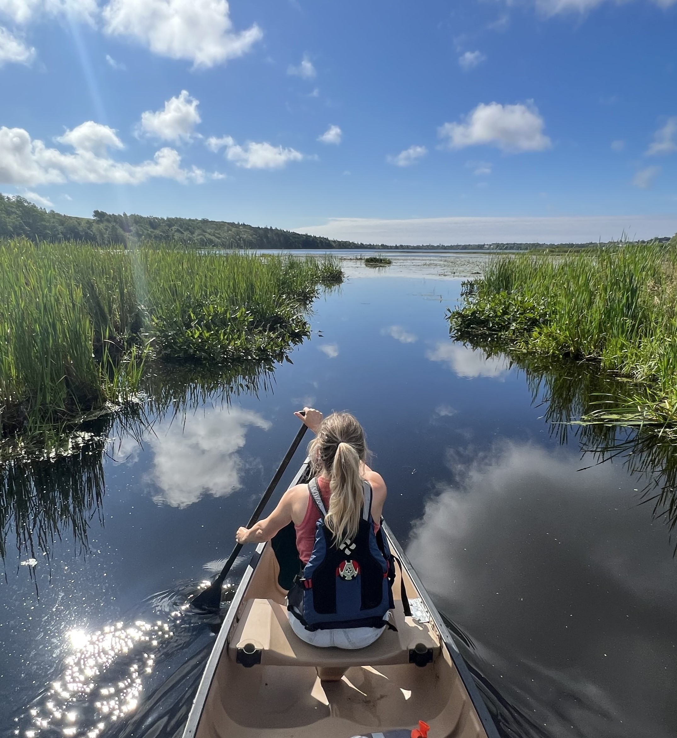 Image of a person paddling on a sunny lake.