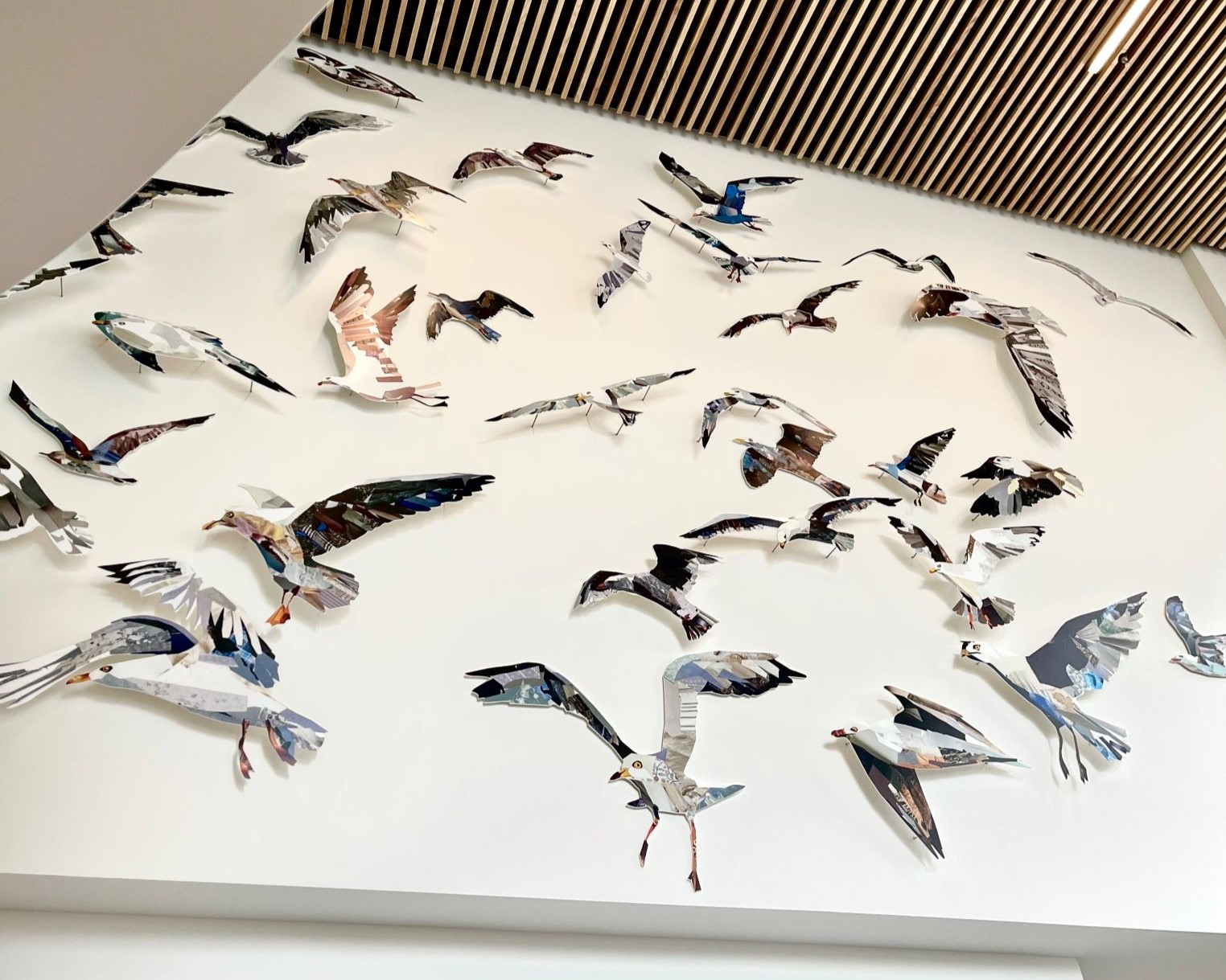 42 Seagulls, Jason Skinner