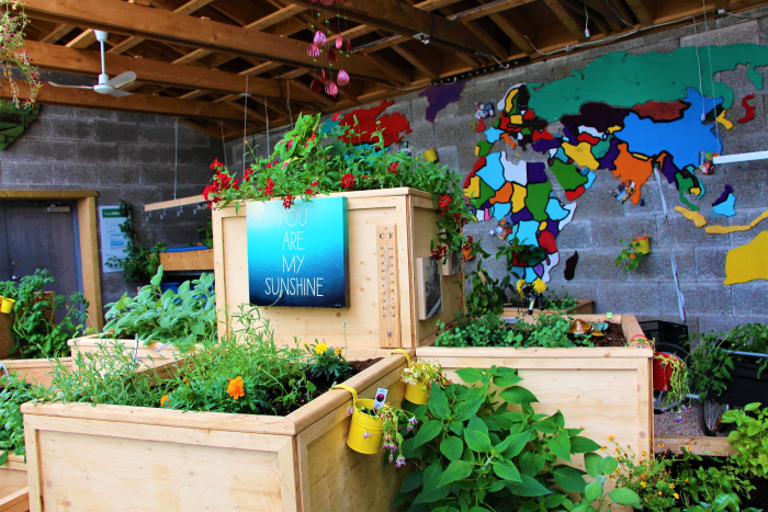 Hope Blooms' greenhouse with lush green plants growing.