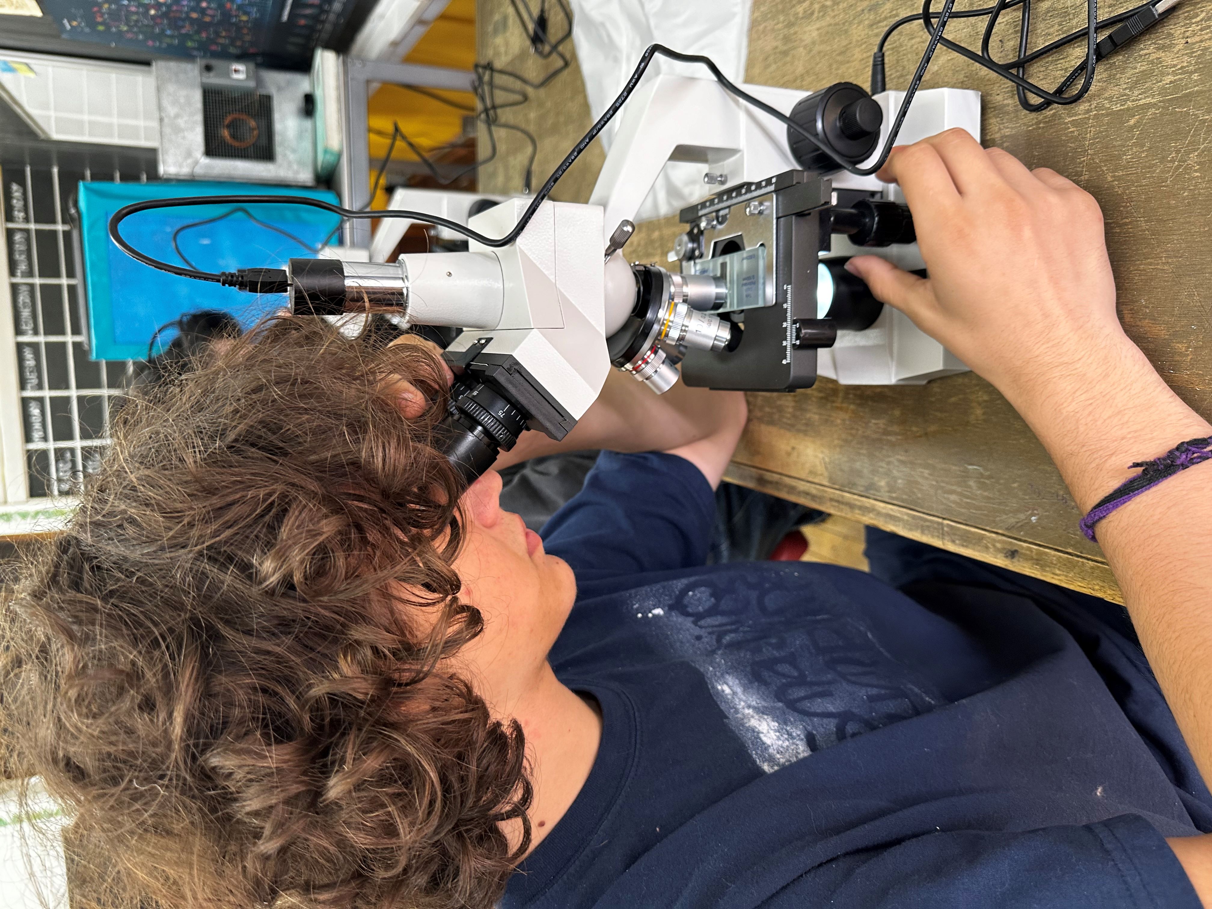 Students at Shambhala School explore the potential of algae for addressing the climate crisis.