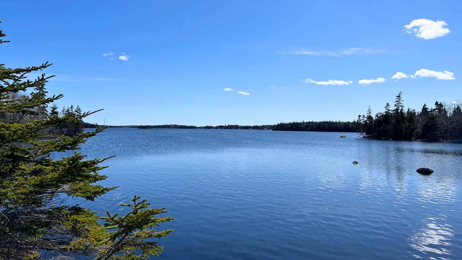 Body of water under a clear, blue sky. 