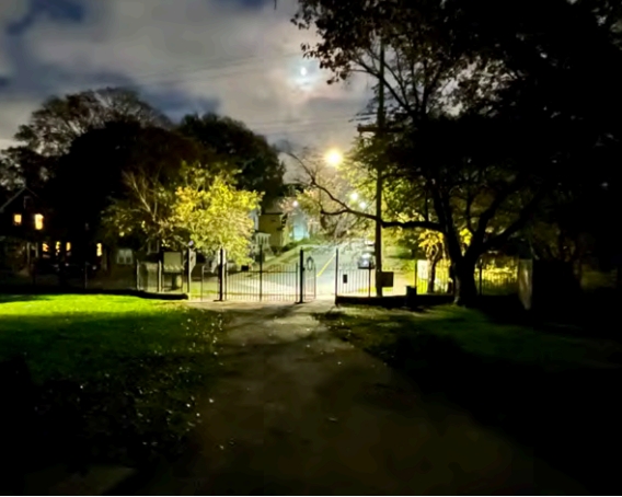 Park space at night with lighting to mark high traffic areas.