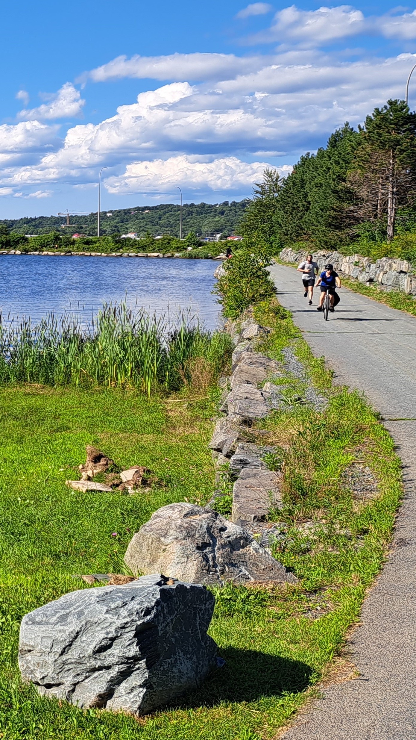 Bike trailing along a Dartmouth lake.