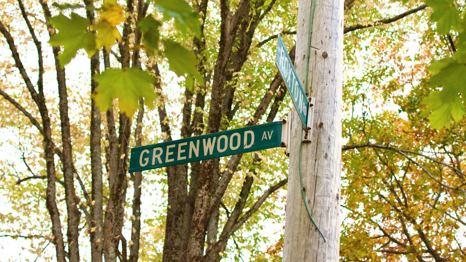 Close up view of street sign with trees in the background