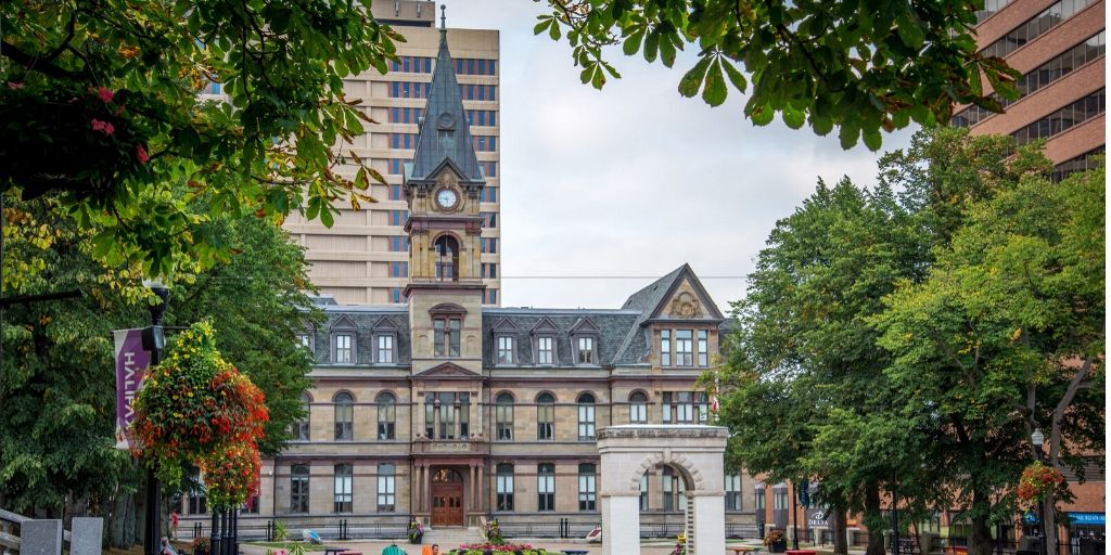 Halifax City Hall framed by leaves and trees