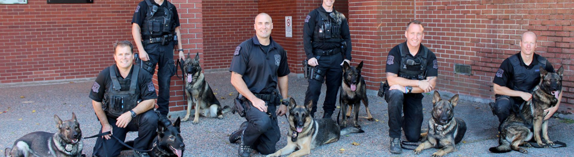 Information about the Halifax Regional Police K9 Unit Halifax