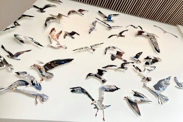 42 Seagulls, Jason Skinner