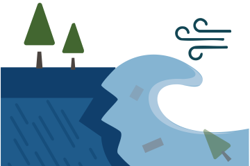 Graphic of the environment