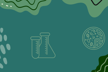 An illustration of bacteria, with beakers and a close-up of a micro-organism.